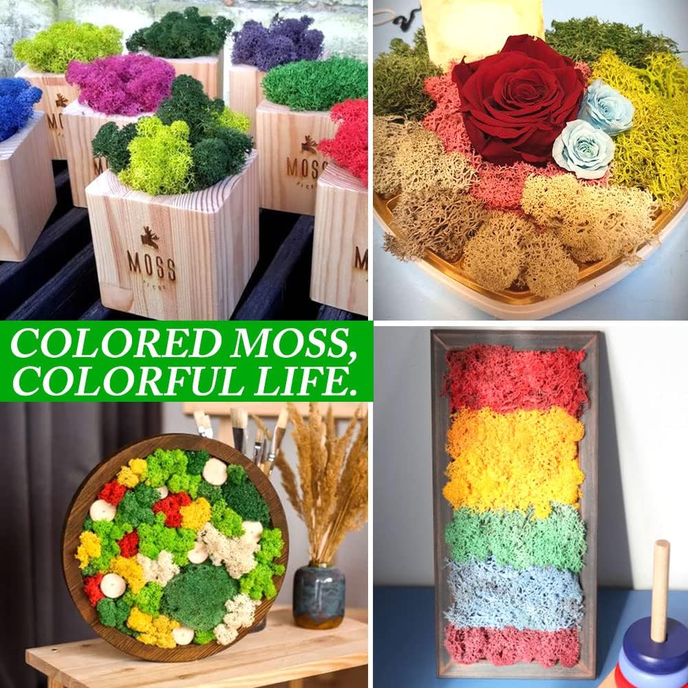 Preserved Reindeer Moss 17.6 OZ Green Natural for Crafts, DIY Gift Christmas Decor, Wall Art, Potted Plants, Floral Fake Moss for Easter Table Decor Wedding Decorative(1.1 LB, Green)