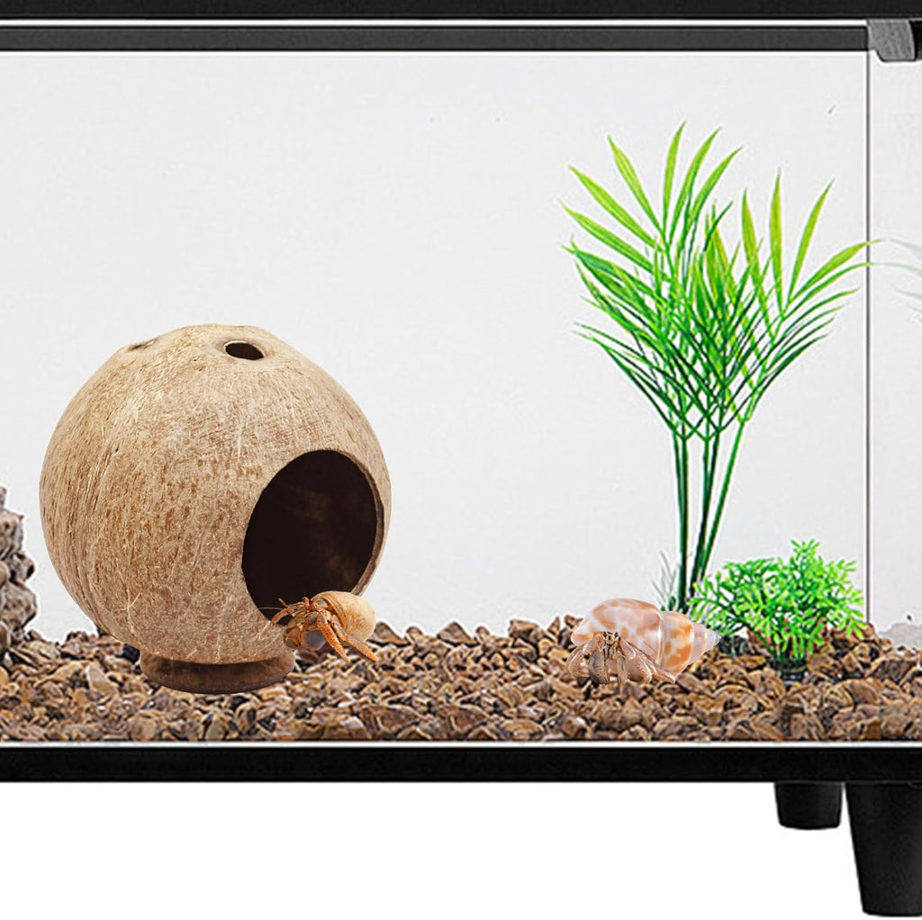 Hermit Crab Accessories, Natural Coconut Habitat Hide with Base, Reptile Tank Accessories, Coconut Hide, Habitat Hideout for Hermit Crab, Tarantula, Gecko and Other Small Animals
