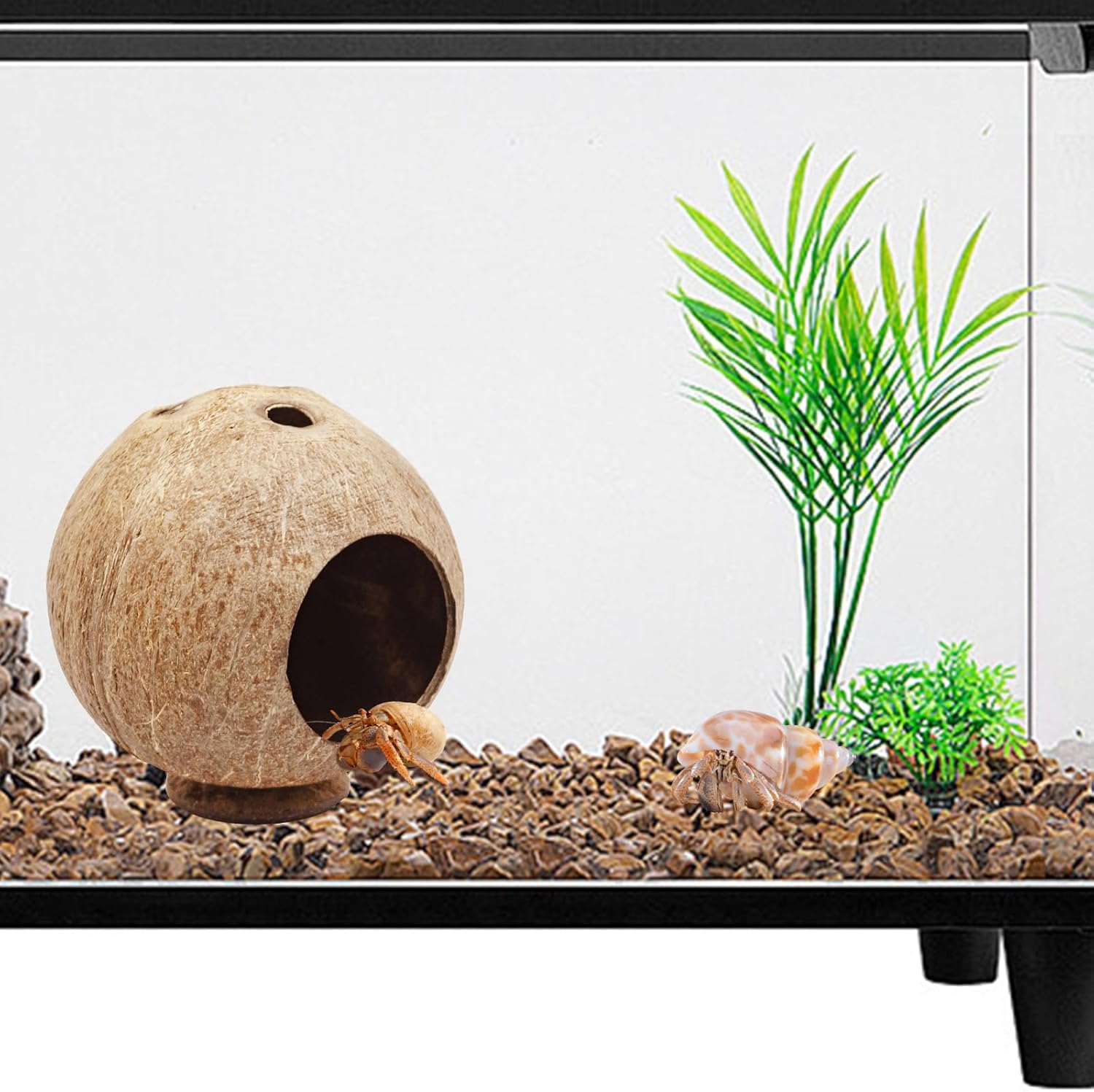Hermit Crab Accessories, Natural Coconut Habitat Hide with Base, Reptile Tank Accessories, Coconut Hide, Habitat Hideout for Hermit Crab, Tarantula, Gecko and Other Small Animals