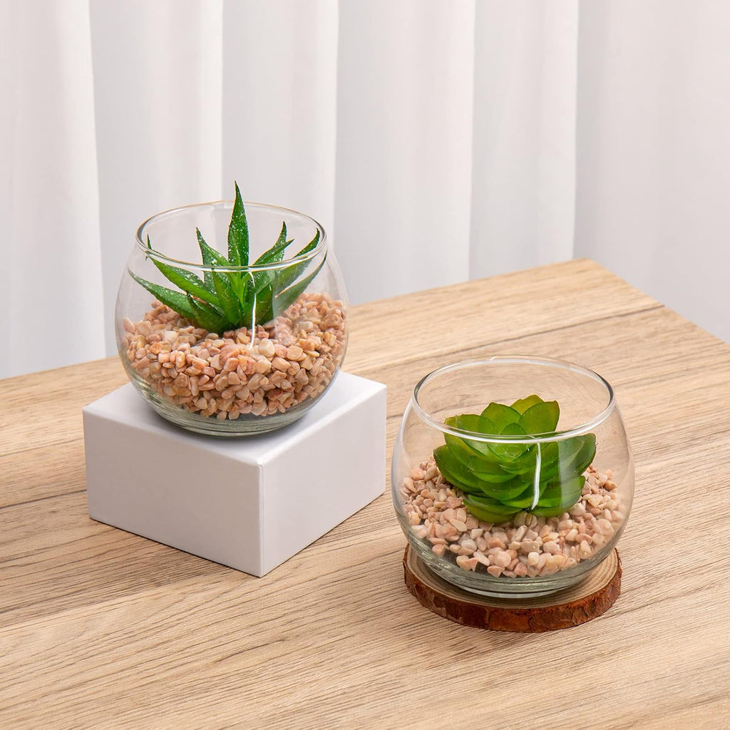 Briful Mini Fake Plants 4 Packs Cute Succulents Artificial Plants Potted Faux Succulents in Round Glass Vase for Bathroom Living Room Kitchen Shelf Table Decor