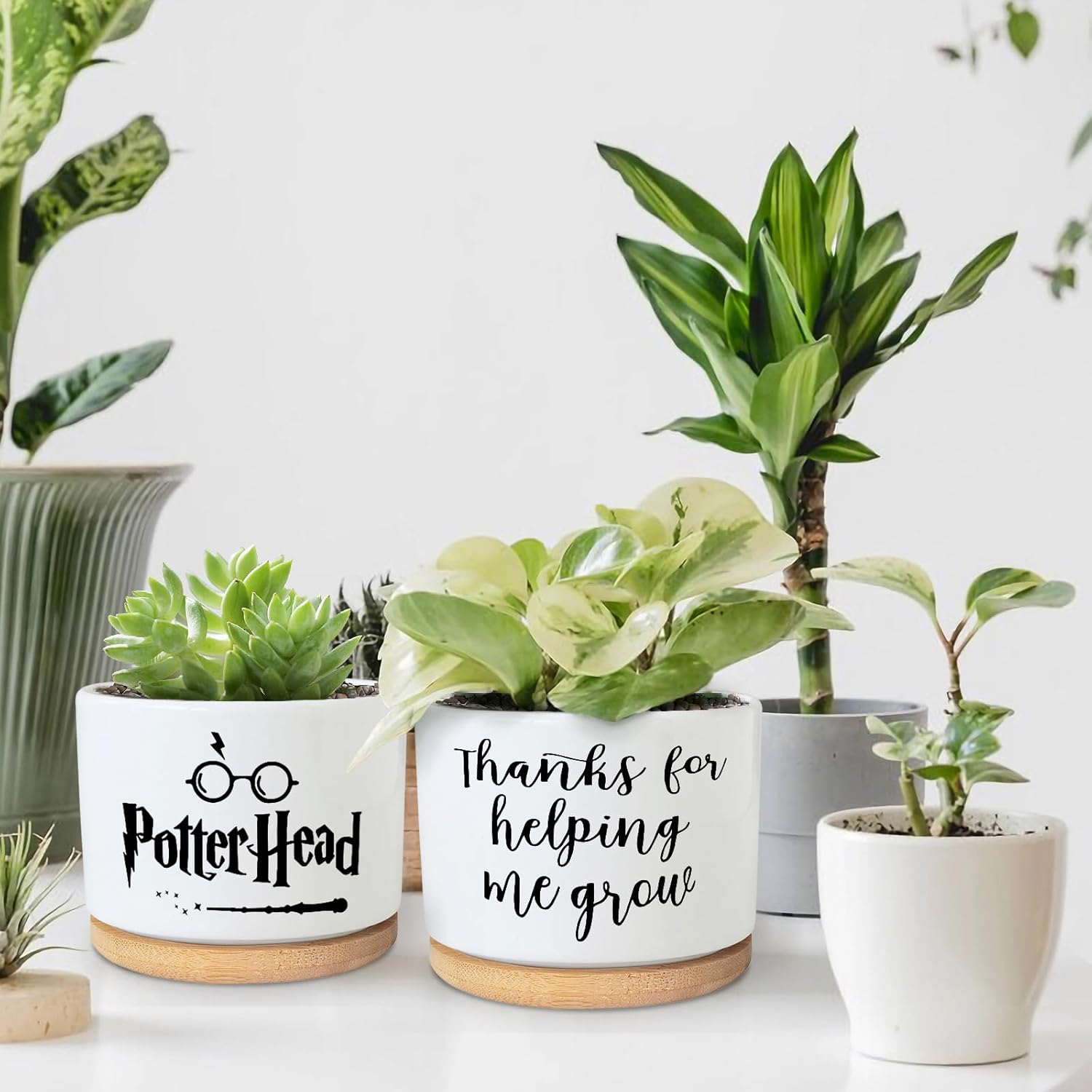 Teachers Appreciation Gift, 3.5 inch Ceramic Succulent Cactus Planter Pots for Indoor Outdoor, Thank You Gift for Mom Teacher Plant Lover Birthday Christmas Teacher's Day (No Plants)