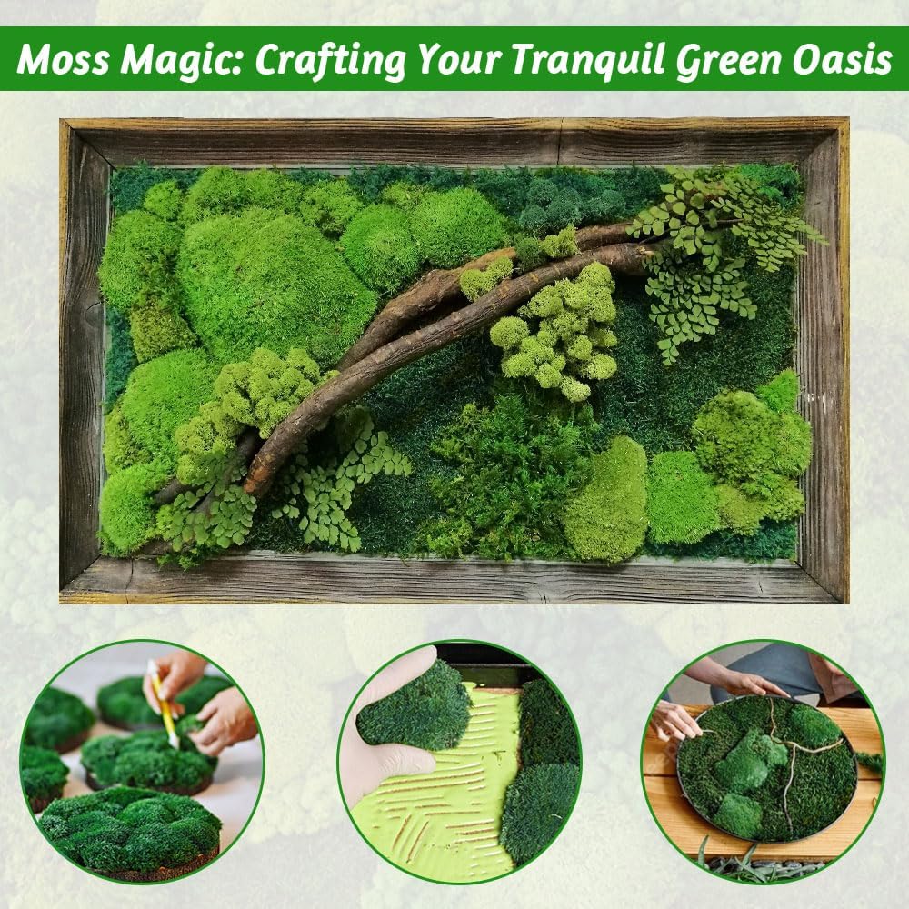 TCYPUHL Preserved Pillow Moss Bulk (1 Sq.Ft Dark Green) - Natural Cushion Moss for Wall Art, Home Decor - Christmas Crafts, Holiday Decorations and Gift Giving DIY Craft, Floral Arrangements