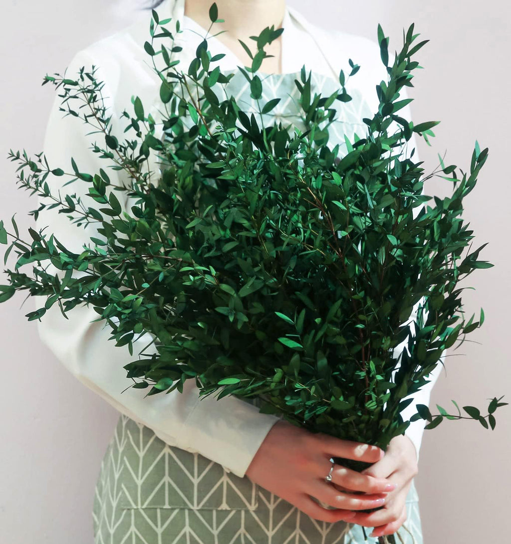 20+ Small Branches Dried Eucalyptus Preserved Greenery Stems, 7-14 Pcs 17'' 4oz Natural Real Eucalyptus Bundles for Shower, Green Leaves Plant for Arrangement, Wedding, Home, Office Decor