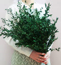 20+ Small Branches Dried Eucalyptus Preserved Greenery Stems, 7-14 Pcs 17'' 4oz Natural Real Eucalyptus Bundles for Shower, Green Leaves Plant for Arrangement, Wedding, Home, Office Decor