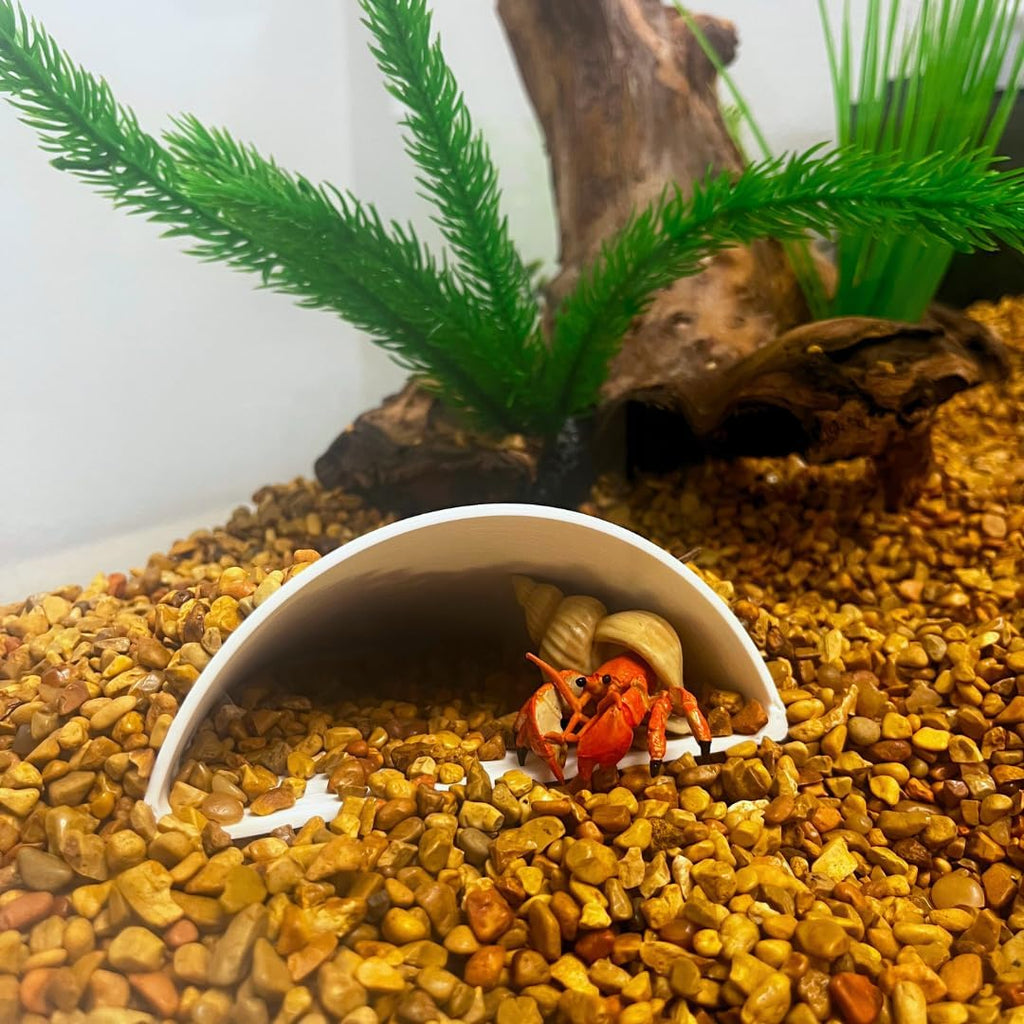 REEFSHAPE Aquarium or Terrarium Pocket Cave | Minimalist Shelter Cave for Fish, Shrimp, Reptiles, Amphibians, & More! | Made in USA (Pocket Cave, White)