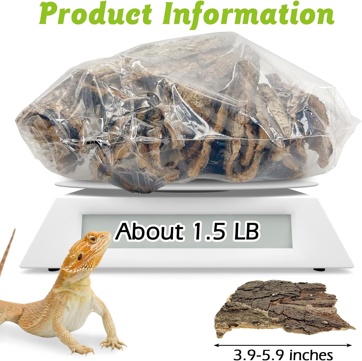 Reptile Cork Bark 1Lb Flat Cork Wood for Terrarium Small Tree Bark Pieces 3.9-5.9in Natural Bulk Cork Bedding Tank Substrate for Bearded Dragon Snake Spiders Geckos Tortoise Hermit Crabs