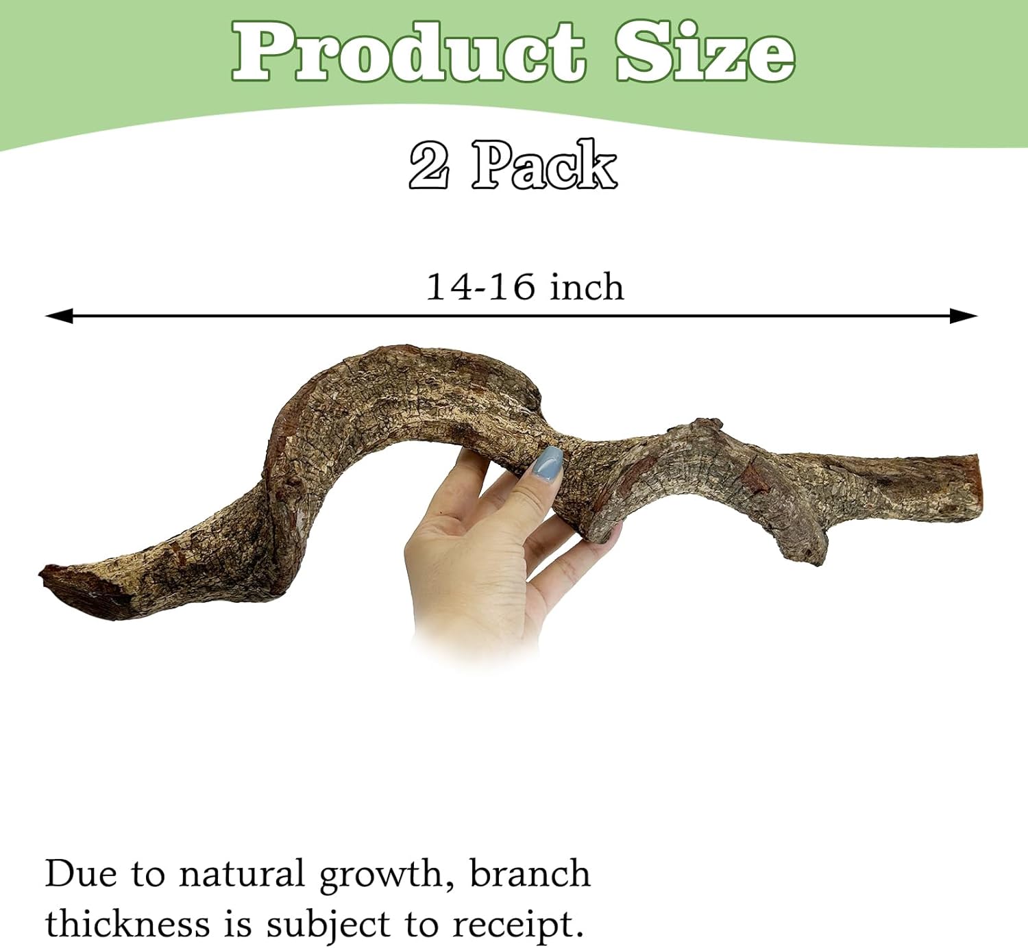 Reptile Climbing Decor 2 Pack Thick Wood Branches Snake Habitat Decorations Terrarium Wooden Tree Trunk Ornament for Bearded Dragon Lizard Snake Geckos Chameleon Frog