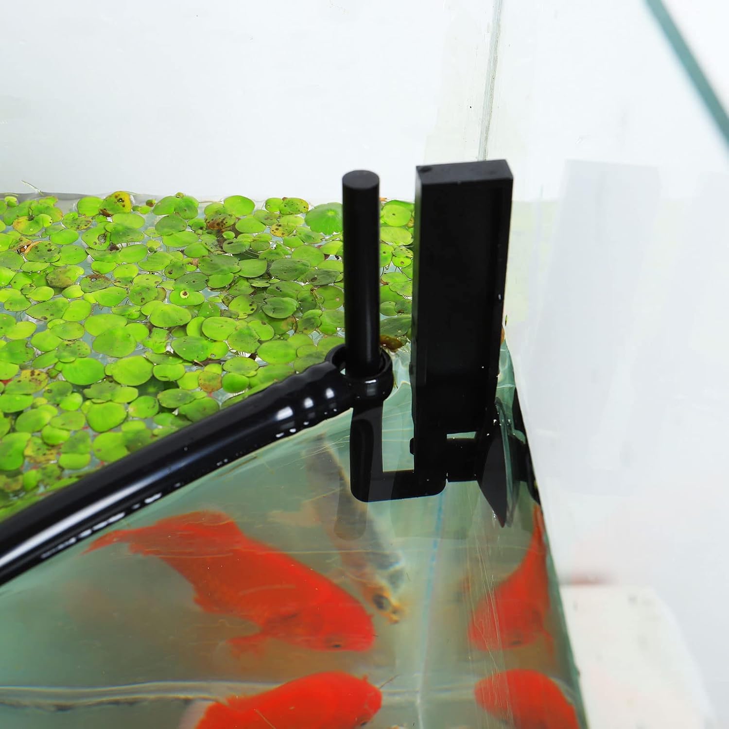 Aquarium Floating Plant Corral, Intercepting Floating Plants from Filters and Heaters, Adjustable Height with Water Level, Can Be Used to Framed and Frameless Aquariums. (Style 1)