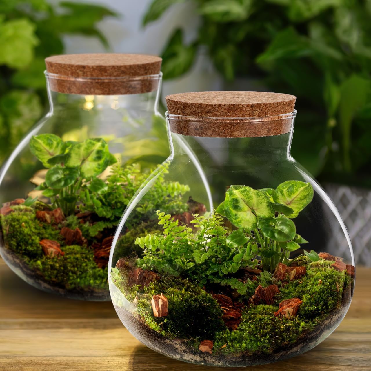 Round Glass Jar Terrarium Succulent Plant Terrarium Ball Bud Vases Jars Message Wishes Bottle Candy Jar with Cork Lid for Fern Succulent Air Plants