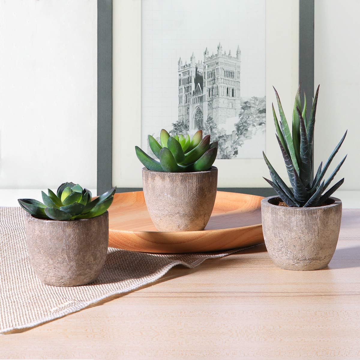 Ounona 3pcs Artificial Succulent Plants Set with Pots - Realistic Faux Mini Succulents for Home, Office, and Aesthetic Decor - Perfect for Desk, Living Room, and Bathroom