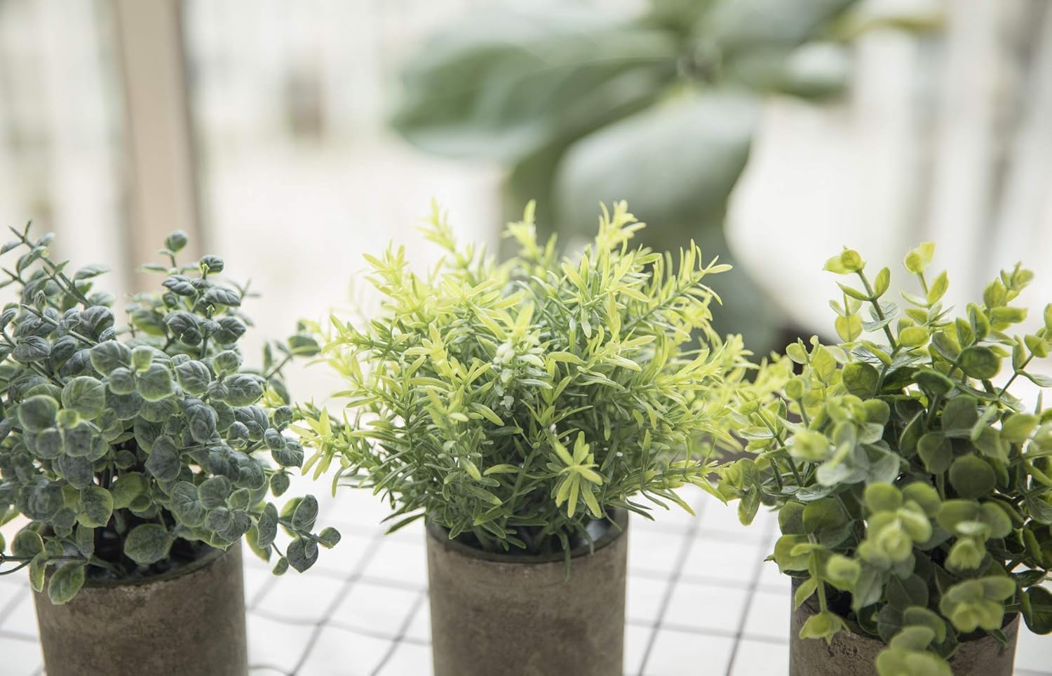 THE BLOOM TIMES Set of 3 Small Potted Artificial Plants Plastic Fake Greenery Faux Plants in Pots for Rustic Home Office Desk Farmhouse Bathroom Kitchen Indoor Decor