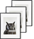 Fun Memories 11x14 Premium Metal Picture Frame - 11x14 Aluminum Photo Frames with 8x10 Mat, and Hanging Hardware - Ideal for Wall or Tabletop Display - Set of 3 - Black
