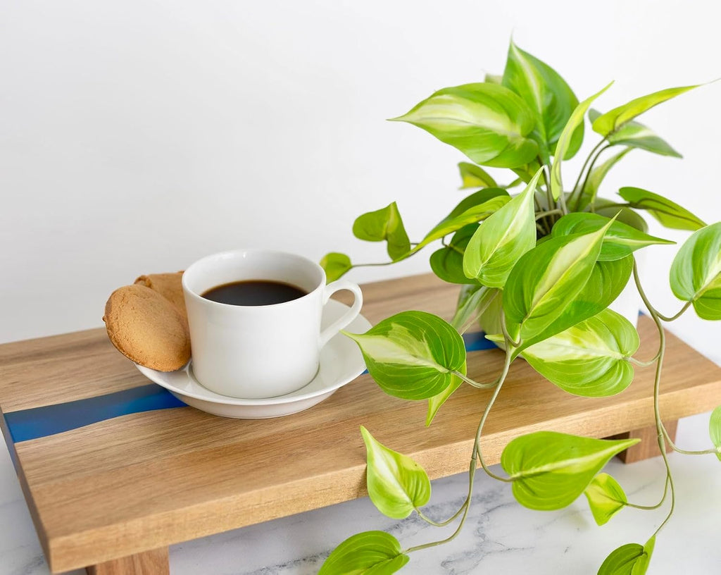 Kurrajong Farmhouse Light Green Fake pothos Plant | Fake Plant for Shelf Decor | Artificial Trailing Ivy Plant with 5" Wide x 3.5" high Ceramic Pot | Faux pothos | Feaux Pothos