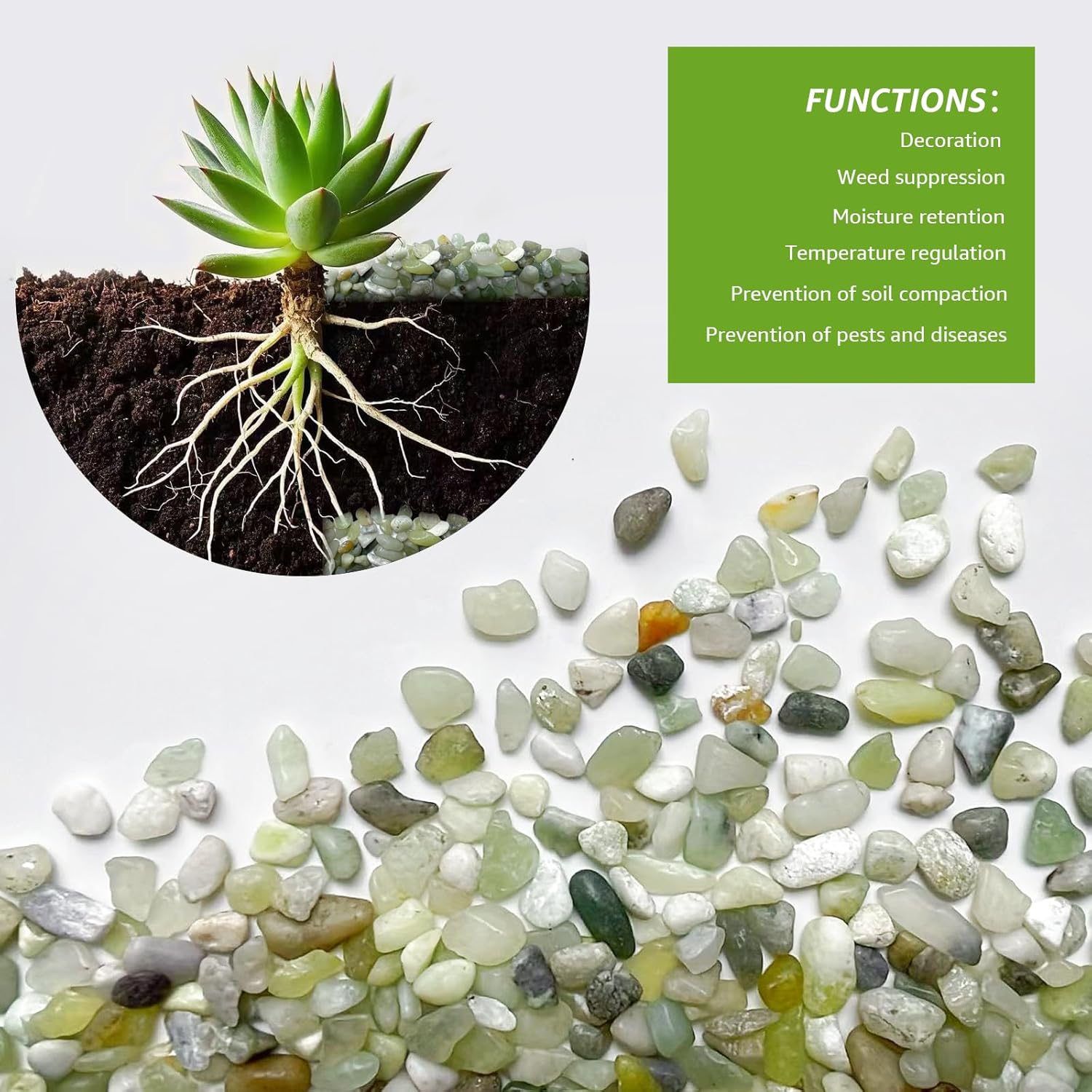 2LB Jade Succulent and Cactus Pebbles - 1/5 Inch Natural Polished Decorative Stones for Indoor Plants, Vases, Planters, and Outdoor Gardening