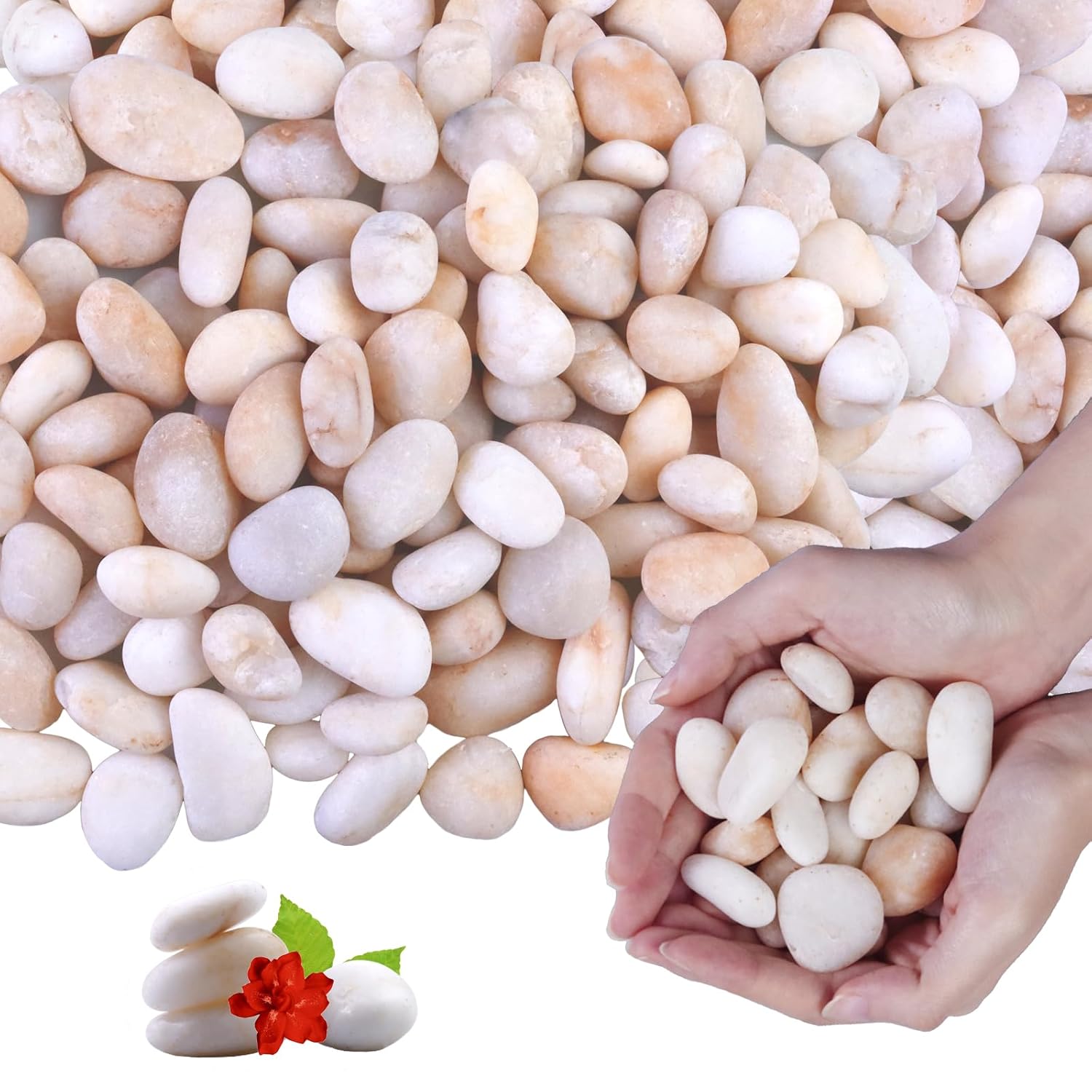 10Ib Cream White River Rock- Decorative Pebbles for Plants - River Rocks for Outdoor Landscaping- 0.3"-0.8" inch High Polished Stones for Aquarium, Terrarium,Vases, Home Decor