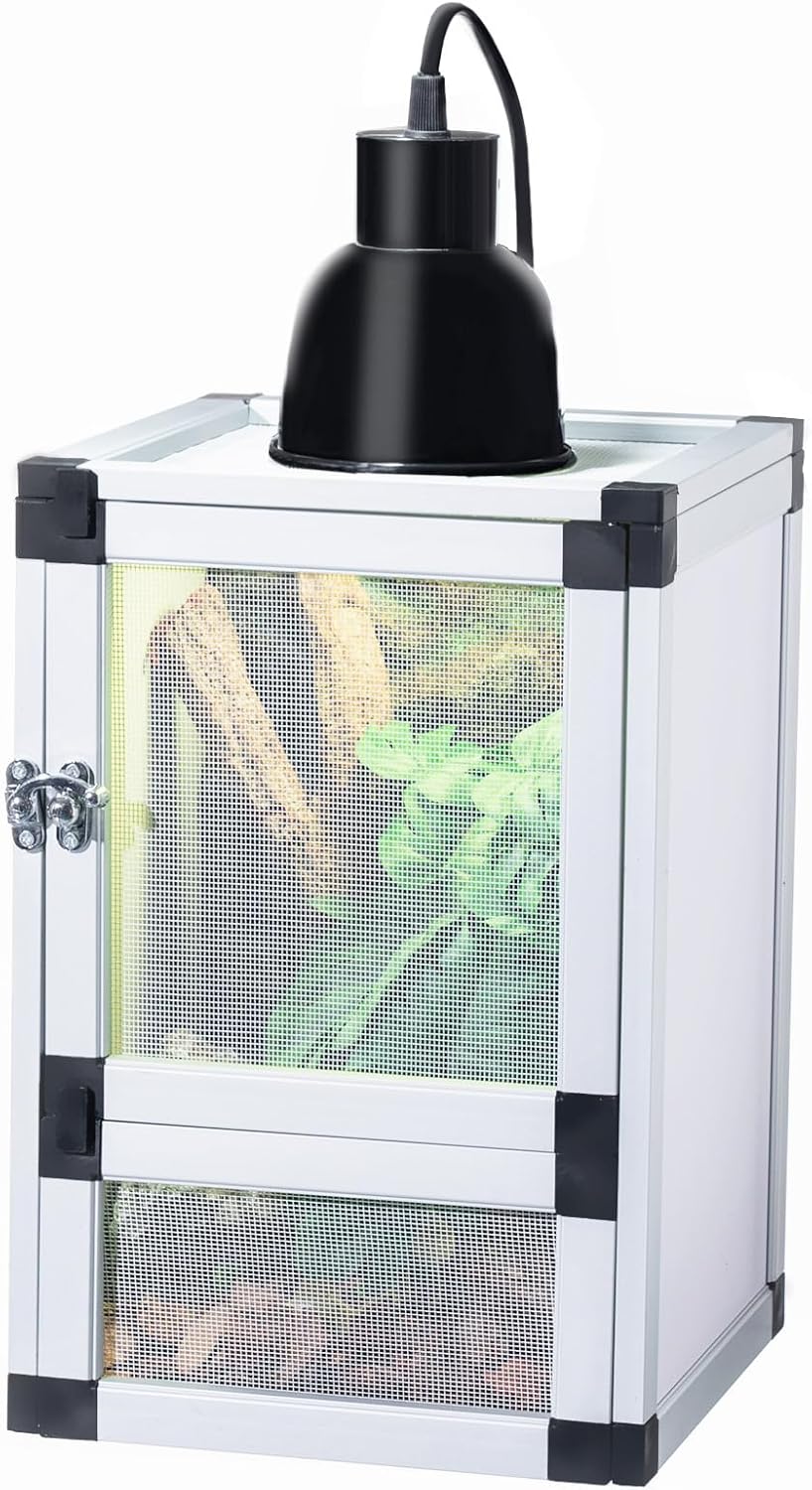 Jumping Spider Enclosure, Toxirium Small Reptile Cage 8" x 8" x 12", Hatching Habitat, Dual Doors, Screen & Acrylic Ventilation, Easy Assembly, for Lizards, Frogs, Geckos