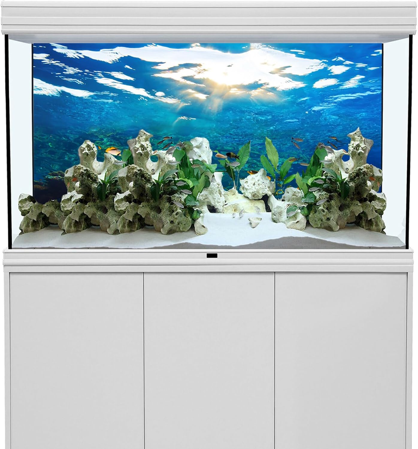 YongFoto Ocean Theme Fish Tank Background 36x24 inch Seaweed Coral Reef Rock Seafloor Tropical Fish Underwater Sea World Polyester Backdrop Reptile Habitat Terrarium Aquarium Background