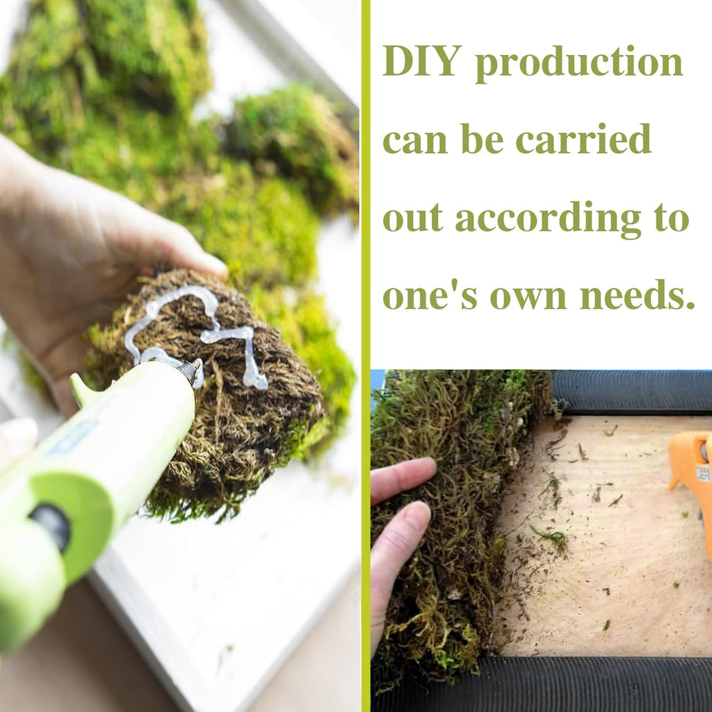 Preserved Moss for Crafts Potted Plants 2 sq.ft. Dried Natural Preserved Moss Mat Green Moss for Planters Crafts Woodland Decor Garden Party Decorations Wall Art DIY Project Green