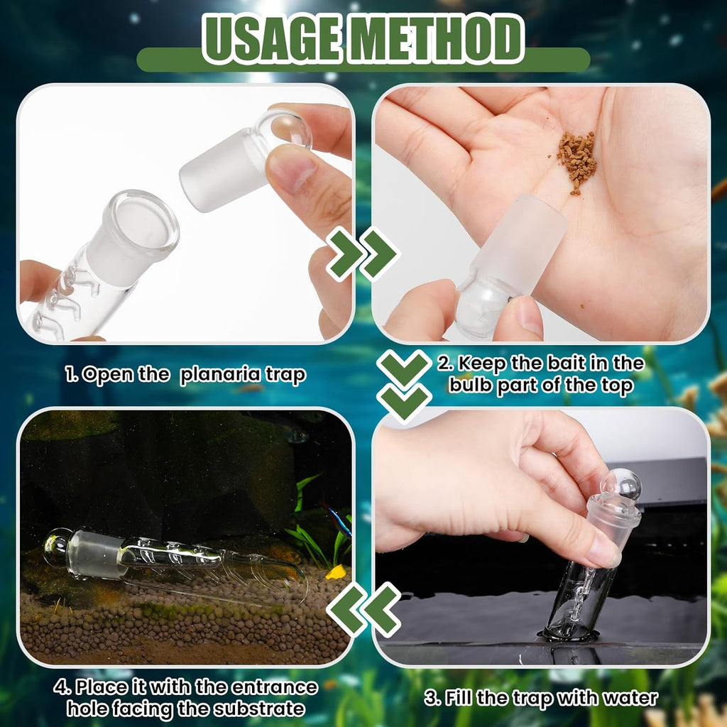 Qualirey 4 Pack Planaria Catch Trap for Aquarium Snail Leech Clear Glass Planaria Trap for Dwarf Shrimp Red Cherry Shrimp Tank(5 Holes)