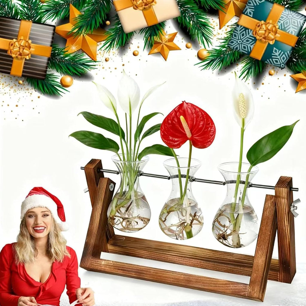 YIBOT Propagation Stations,Plant Terrarium with Retro Wooden Stand, Unique Gardening Birthday Gifts for Women Plant Lovers, Hydroponics Plants Home Office Garden Decor - 3 Bulb Glass Vases