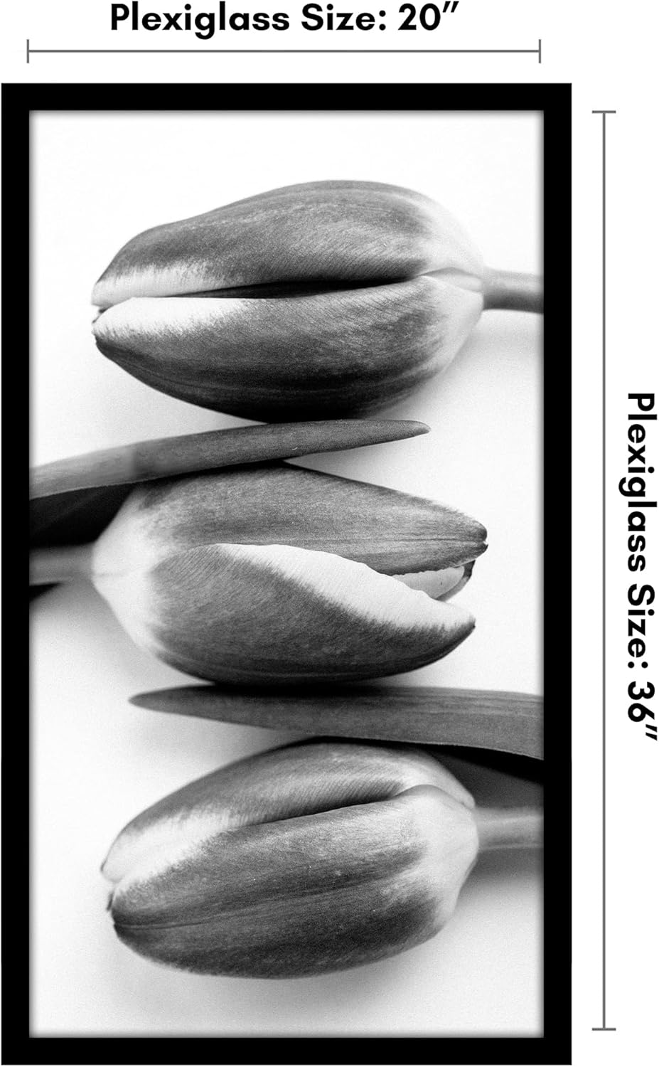 Americanflat 20x36 Poster Frame with Polished Plexiglass - Black Picture Frame - Wide Photo Frames Made of Engineered Wood for Vertical or Horizontal Wall Display - Epic Collection - Black