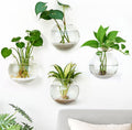 DomeStar 4PCS Wall Vases, Wall Mounted Hanging Glass Vases Clear Planter Terrarium Station for Hydroponics Plants Propagation Home Office Living Room Decor