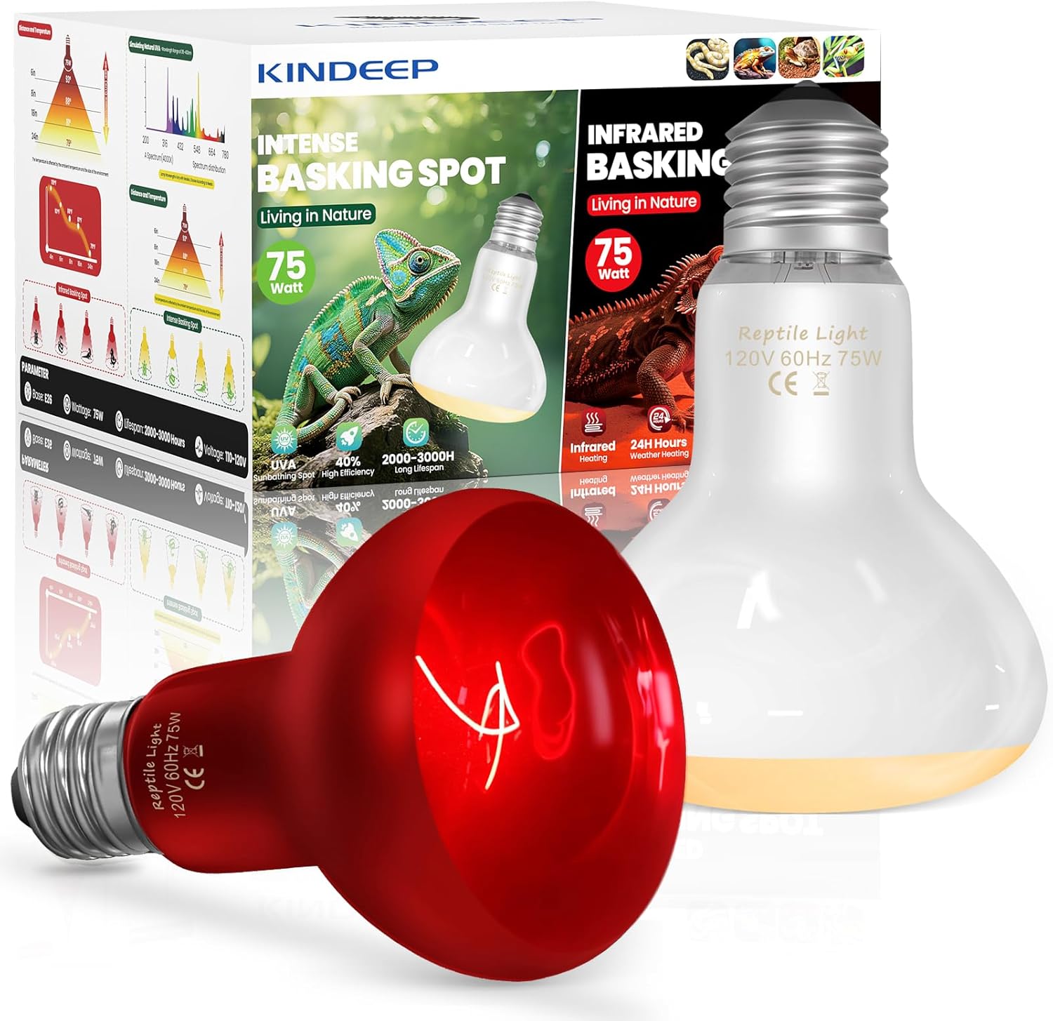 KINDEEP 75W Reptile Heat Lamp Bulbs: Reptile Day & Night Basking Spot Bulb Combo Amphibian Infrared Heat Lamp Bulb - UVA Basking Spot Daylight Heating Light Bulb for Lizard Tortoise Snake
