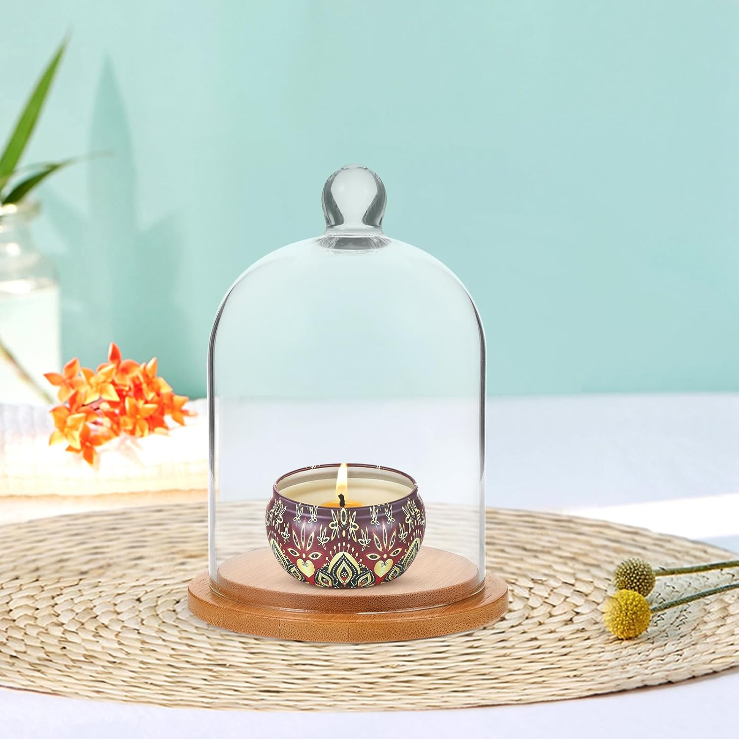 POPETPOP Glass Cloche Dome Bell Jar Display Case Glass Display Dome Terrarium Jar for Plants Collectible Figure （Only single cover）