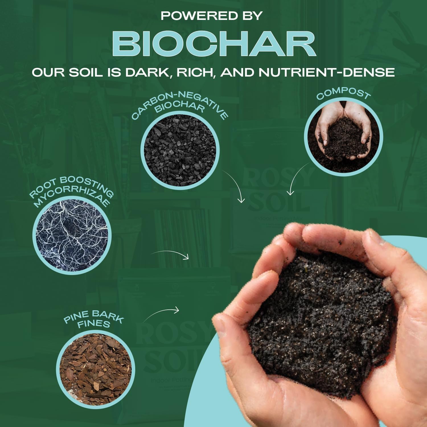 Rosy Soil Indoor Potting Soil for House Plants - Organic Potting Soil Mix for Indoor Plants - Enriched w/Root-Boosting Biochar for Foliage Plants, Flowers, Herbs - Peat Free, Less Prone to Gnats - 8qt
