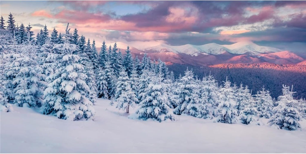 YongFoto Winter Snow Scene Fish Tank Background 72x16 inch Snowfield Pine Forest Rime Sunglow Rosy Clouds Polyester Backdrop Reptile Terrarium Aquarium Bearded Dragon Habitat Background