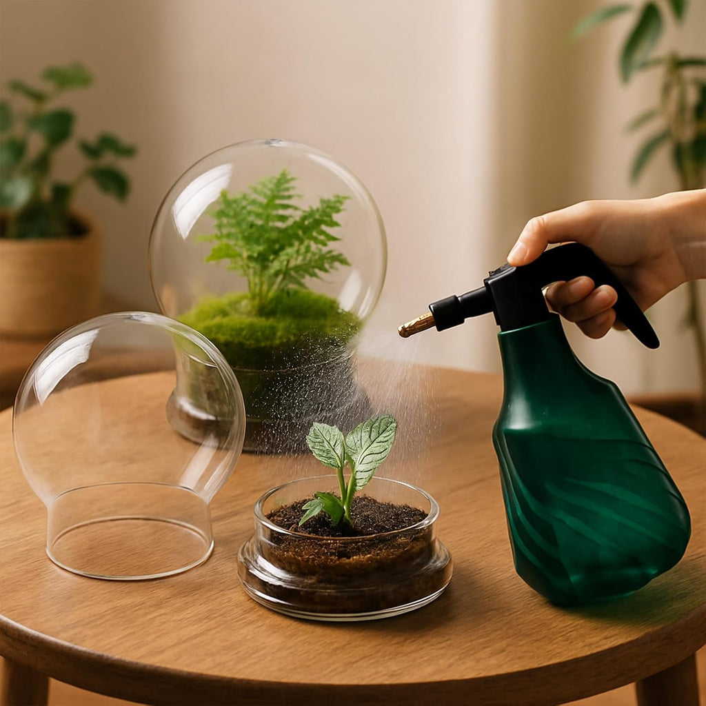 2 Pack Round Glass Cloche Domes with Air Hole and Base, 4.6×6.6 Inches Clear Terrarium Planter, Cloche Planters, Terrarium Bell Jar, Humidity Dome Glass for Plants, Mimosa