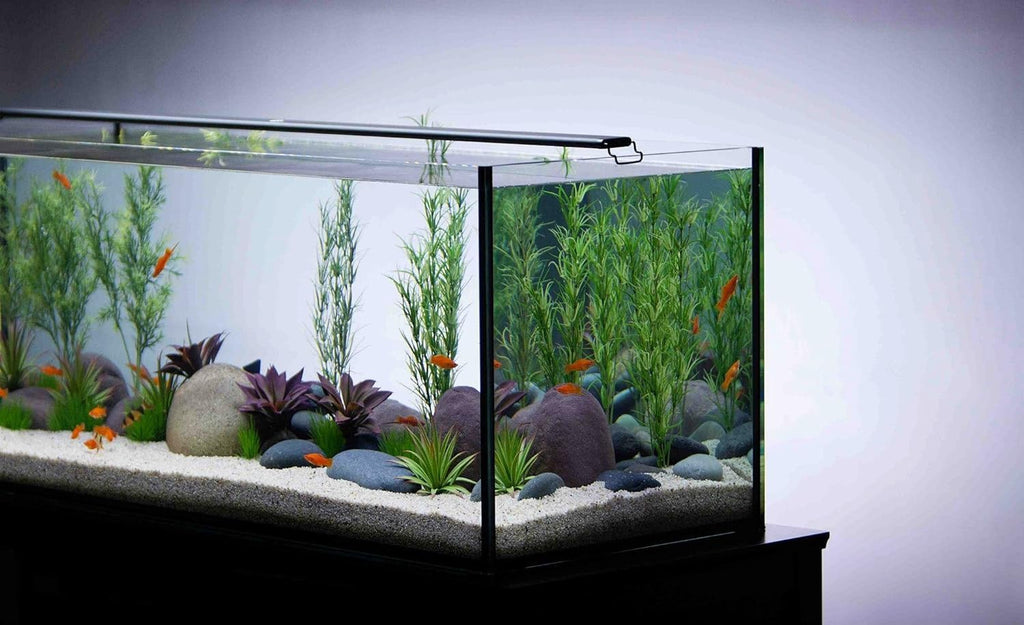 CURRENT USA 36-48" Satellite Color RGBW Full-Spectrum LED Aquarium Light - Freshwater, Wireless 24-Hour Timer, Adjustable Tank Mounts (4512)