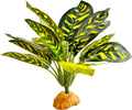 Woyrise Reptile Artificial Plants for Terrarium Decor, Amphibian Habitat Decorations Bearded Dragon Tank Accessories fit Crested Gecko Leopard Lizard Chameleon Ball Python Snake Frog - Prayer Peacock