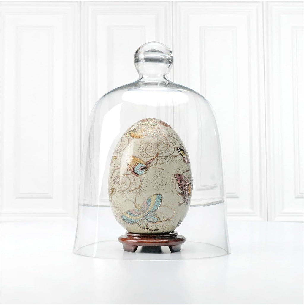 Plymor 8.5" x 11" Bell Jar Glass Display Dome Cloche (Interior Size 8.25" x 9.5")