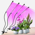 Plant Lights for Indoor Growing, Red Blue Spectrum 4 Heads Clip Grow Lamps with 10 Feet Cables for Seeding Blooming and Fruiting(2 Pack)