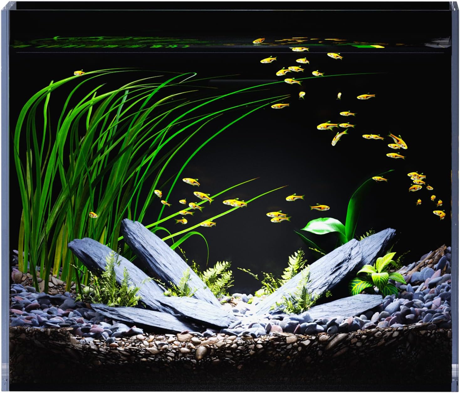 3 Gallon Glass Fish Tank Ultra Clear Rimless Aquarium, Built-in Black Background Rectangular Tank