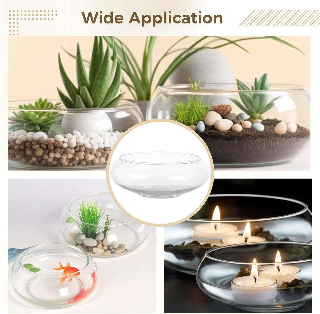2 PCS Glass Bowl Vases, Wide Mouth Round Glass Terrarium, Hydroponic Planter, Clear Floral Container