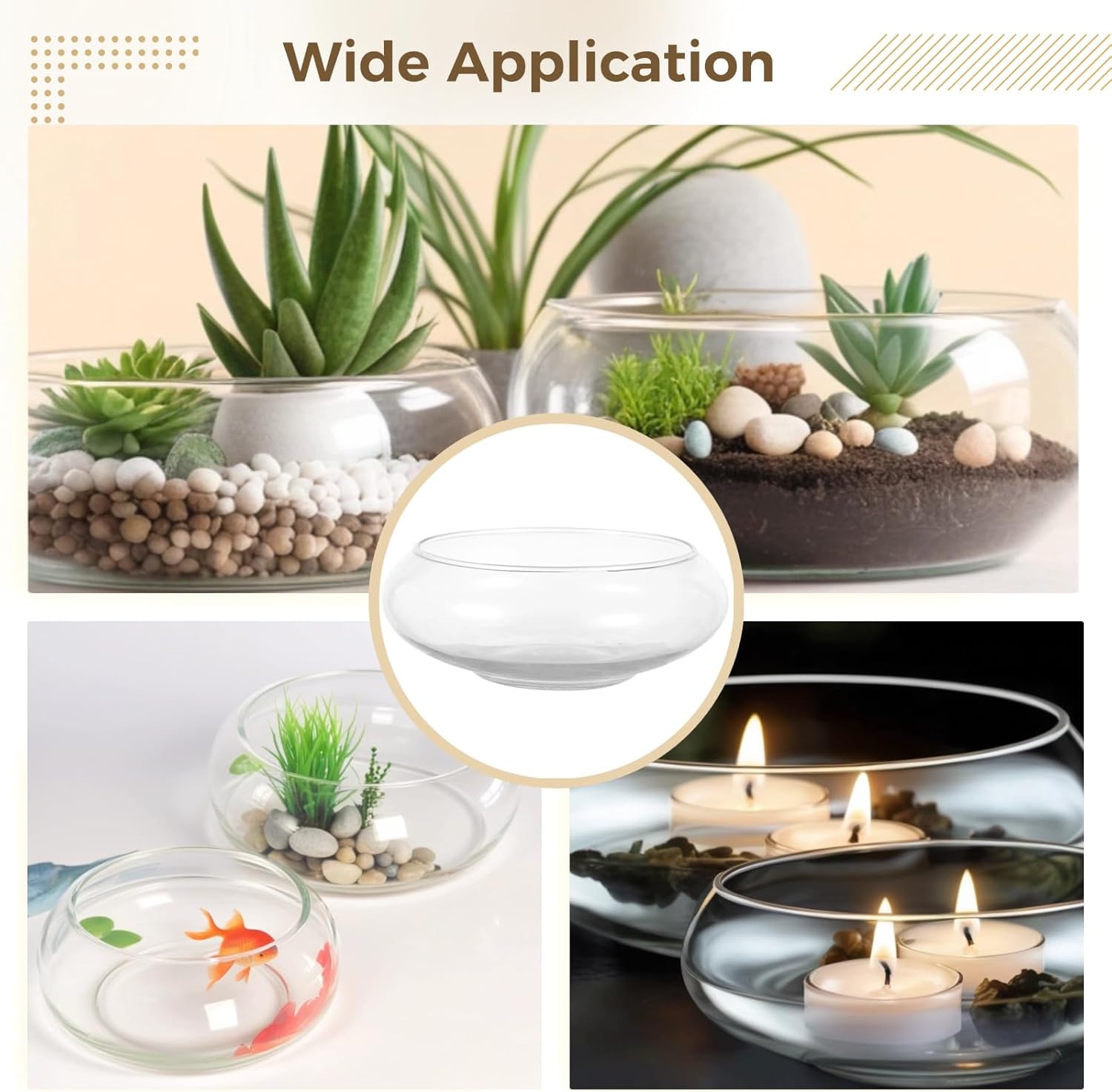 2 PCS Glass Bowl Vases, Wide Mouth Round Glass Terrarium, Hydroponic Planter, Clear Floral Container