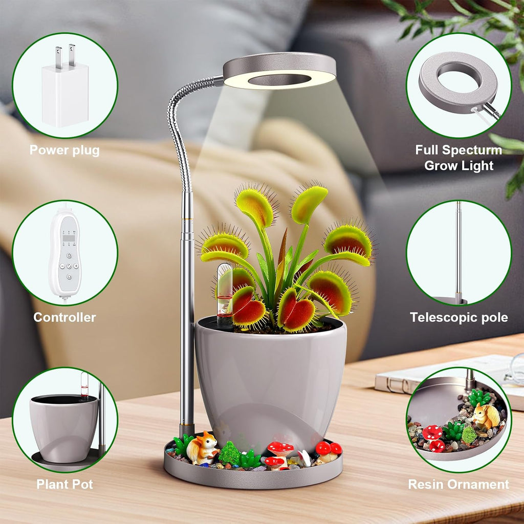 Venus Fly Trap Terrarium,Butterwort Plant Live Pot,Not Live Plant, Automatic Irrigation System Keeps Potted Soil Moist Makes a Great Gift Choice, Home Office Decor