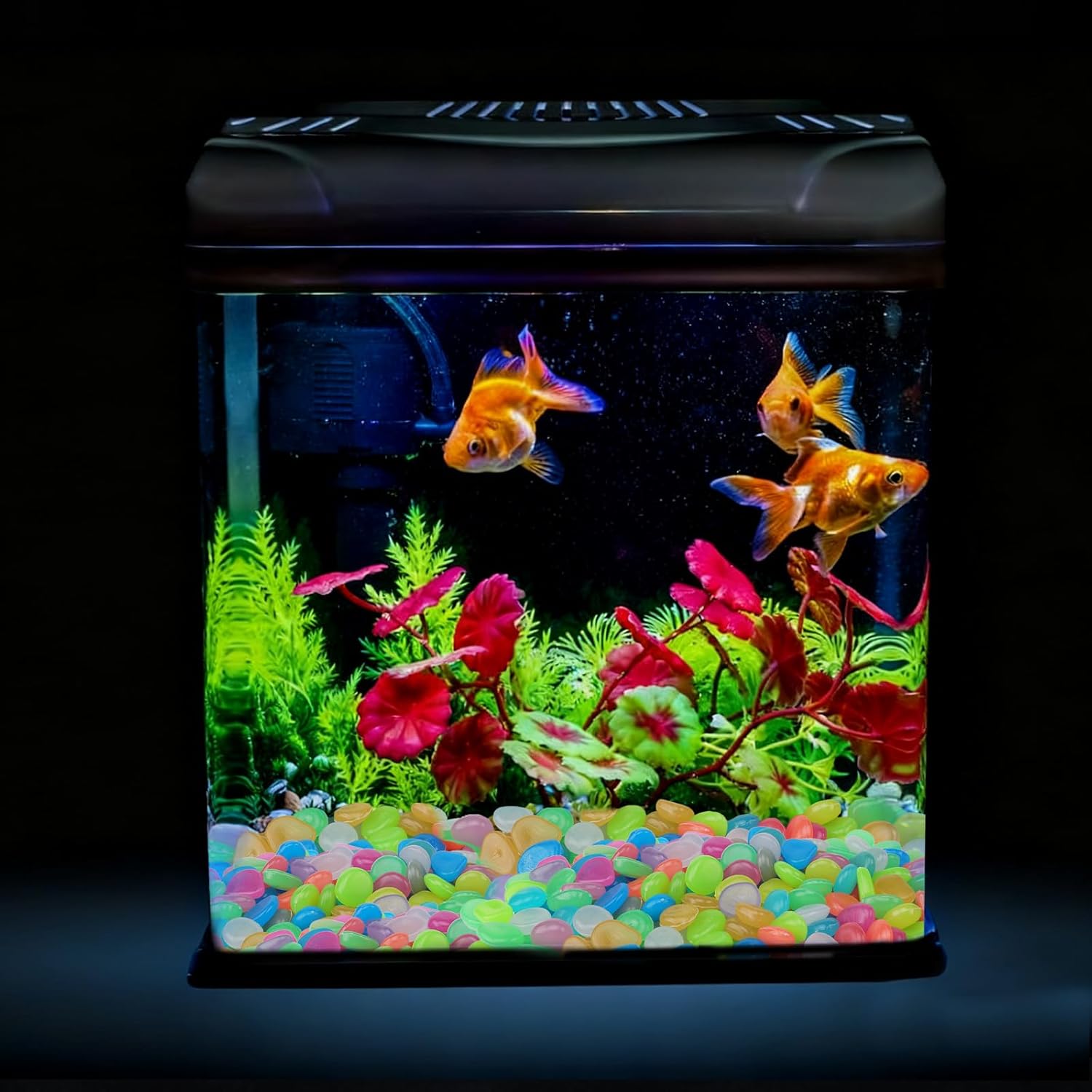 Oubest Glow in The Dark Pebbles/Glow Stones/Glowing Rocks Blue Decor for Garden/Fish Tank/Aquarium/Walkway/Driveway/Plant Pots/Bonsai (100, Multi-Colored)