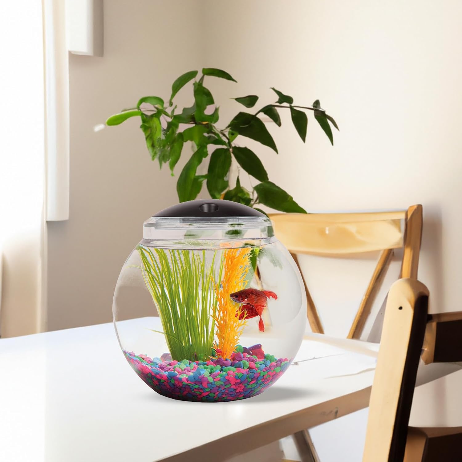 Koller Products 1-Gallon Globe Fish Bowl, Impact- Resistant Plastic Aquarium Starter Kit with LED Lighting, Built-in Timer, Crystal-Clear Clarity, Desktop Fish Tank for Home Décor