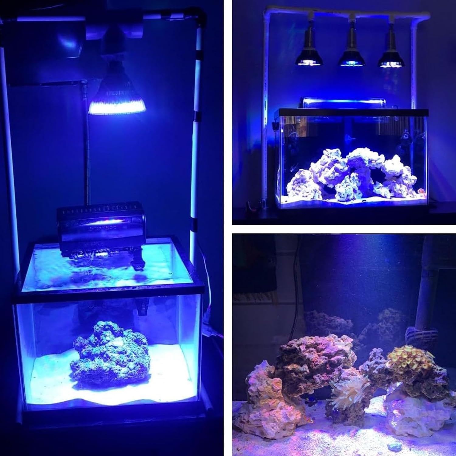 LED Aquarium Lights, Full Spectrum Aquatics Plants Grow Lamp, Lamp Refugium Light for Corals Marine Algaes Turtles Habitats