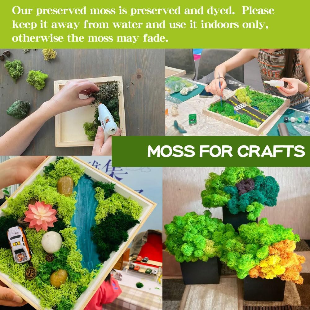 Preserved Moss-1.1lb 4 Color Mix Pack Reindeer Craft Moss, Green Moss Artificial Moss Suitable for Flowerbeds, Crafts, Home Office Artistic Decoration(Green Tones-2)