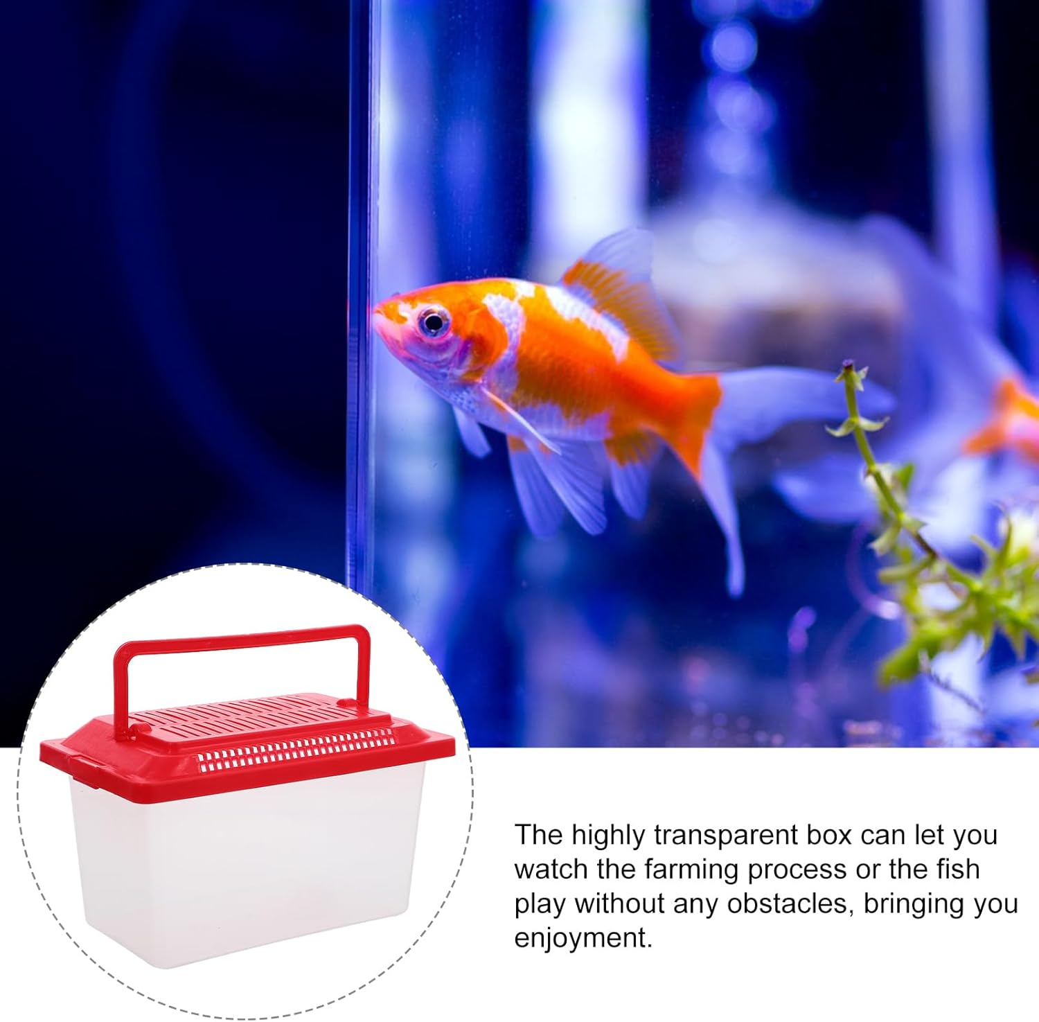 Portable Fish Tank Portable Aquarium Turtle Tank Mini Portable Fish Tank Terrarium for Turtle and Pet Fish