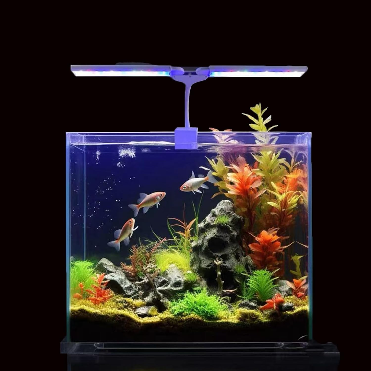 Aquarium Light Clip on Fish Tank Light Full Spectrum Plants Lights with Timer, 3 Colors Mode, 360° Adjustable 2 Light Bar, Led Aquarium Lamp Suitable for 10-30 Gal Fish Tank