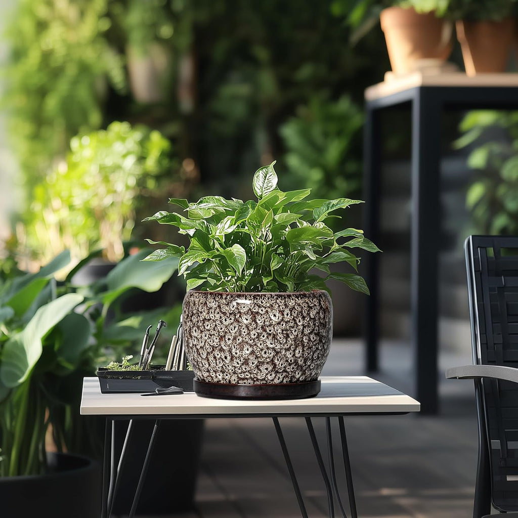 SQOWL Ceramic Planter - 8 inch Plant Pot Indoor with Drainage Hole and Plant Saucer, Round Ceramic Flower Pots Outdoor, Decorative Modern Planter, Office Kitchen Decor, Gifts for Women Men, White