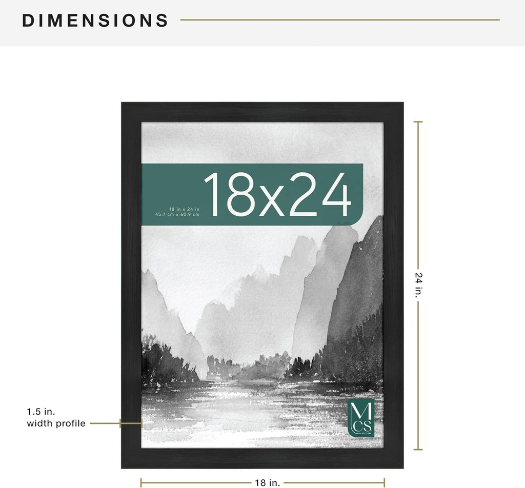 MCS Museum Poster Frame 18x24 Onyx, Vertical & Horizontal Wall Hanging Large Picture Frame for Photos, Posters & Art Prints (2-Pack)