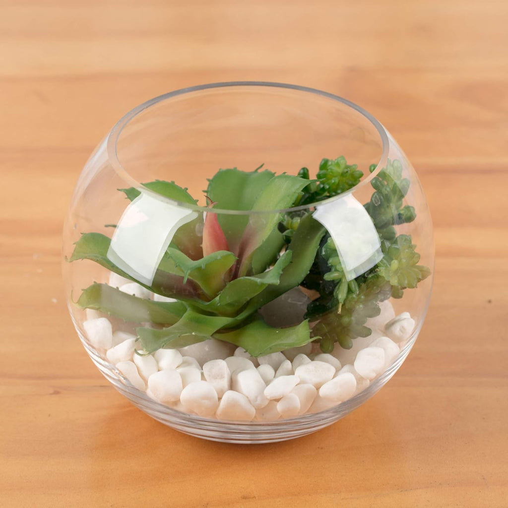 WGV Bowl Glass Vase Bulk, Diameter 8", Height 6.5", Open Width 3.75", (Multiple Sizes Choices) Clear Bubble Planter Terrarium Fish Bowl for Wedding Event Home Decor, 6 Pieces (VBW0008)