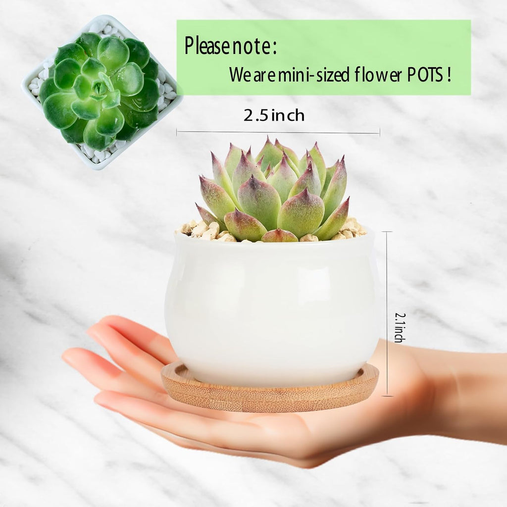 2 Pack Succulent Pots, 2.5 Inch Mini Ceramic Pots for Flower or Cactus Plants with Drainage Hole,Plants Not Included (White)
