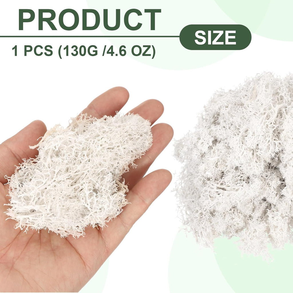 MECCANIXITY 4.6oz Preserved Reindeer Moss, White Decorative Artificial Fake Moss for Potted Plants Indoor Crafts Lichen Centerpieces Decor